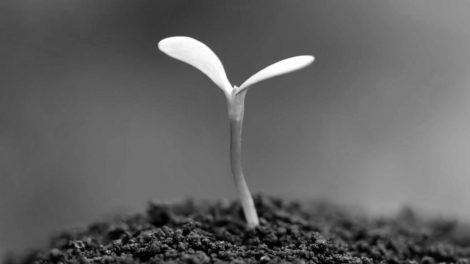 The sustainability pitch is dull