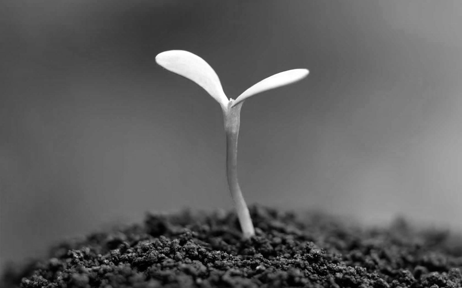 The sustainability pitch is dull